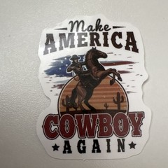 10 STICKERS WESTERN COWBOYS Journal Planner SCRAPBOOK COUNTRY WSIPVU