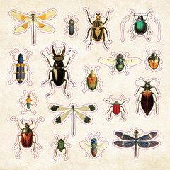 The Sticker Book of Curiosities (Over 750 Stickers) (Sticker Books)