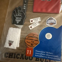 Jolee’s Boutique Stickers – 3D Chicago Bulls