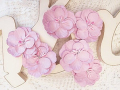 IMAGINE – BERRY PINK – 6 Flowers PAPER 50-55mm Manor House