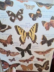 50 Pgs Vintage Series Washi Stickerbook 450+Stick 20 Pgs EPH Papers