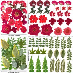 269PCS Dried Pressed Flowers for Resin Craft – YouthBro Real Nature Flowers S…