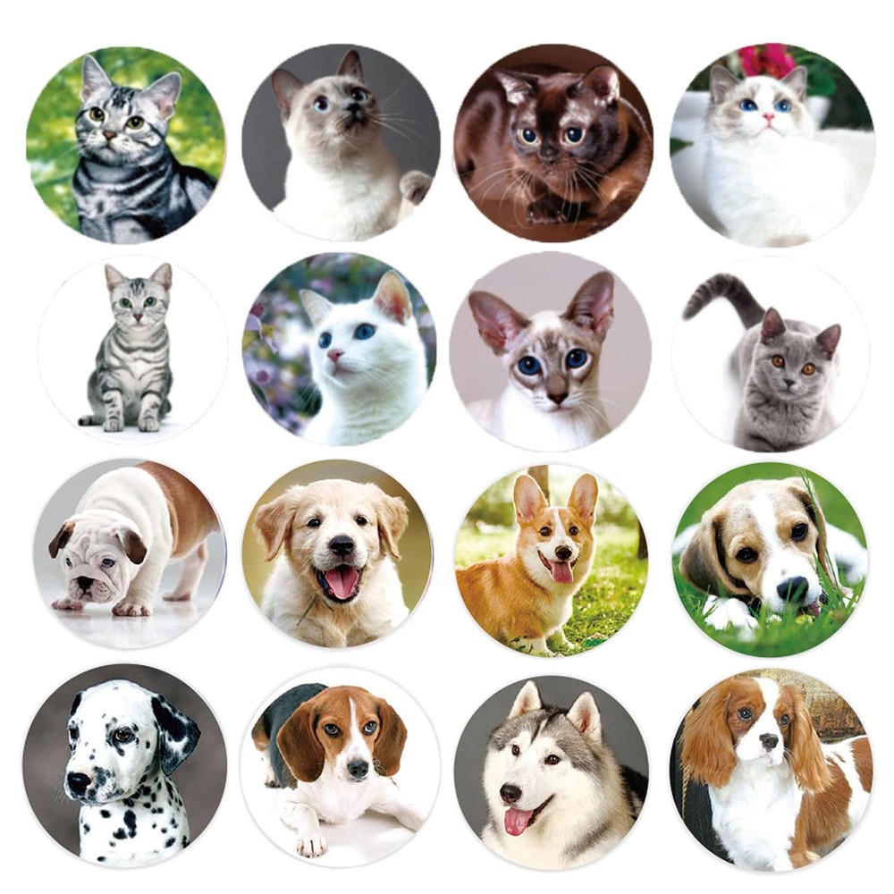 Dog and Cat Stickers for Kids Teachers,1000 Pcs Dog Cat Design Stickers for Kids