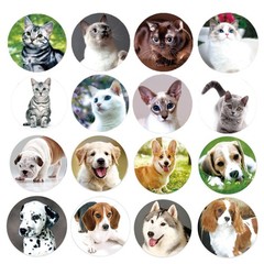 Dog and Cat Stickers for Kids Teachers,1000 Pcs Dog Cat Design Stickers for Kids