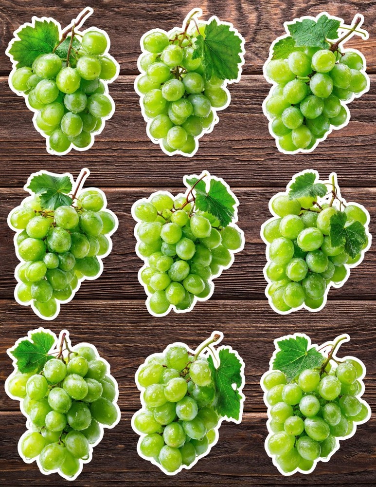 Green Grapes Die Cut Vinyl Stickers Set Scrapbooking Laptop Water Bottle
