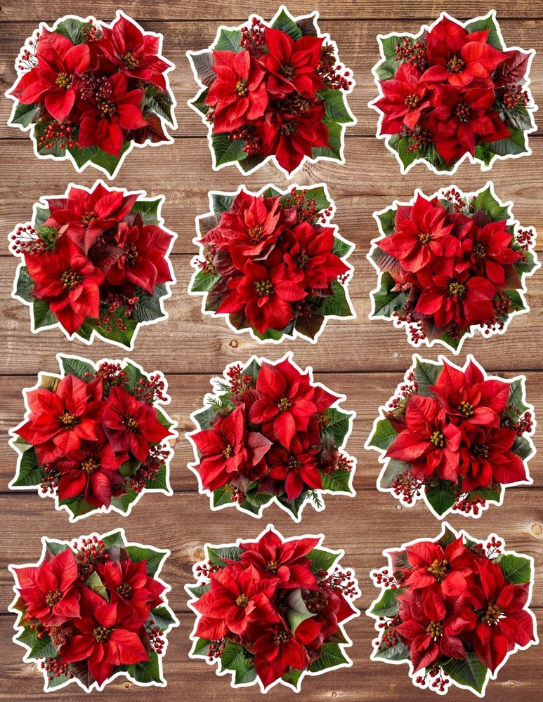 Christmas Poinsettia Vinyl Die Cut Stickers Set Notebook Laptop Water Bottle