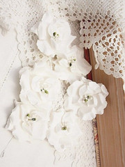 IDYLIC 6 Pack WHITE with Centre – PAPER – 50-55mm Manor House ConB