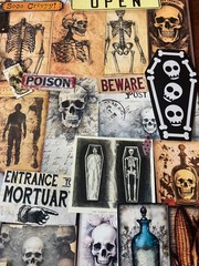 #777 SKELETON 100+PCS 3D JUNK JOURNAL SCRAPBOOKING w/ Real Ephemera & Bone Pen