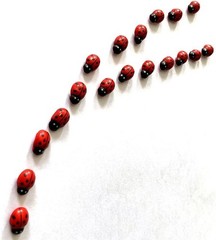 Enchanting 100 Mini Ladybug Stickers – Wooden, Self-Adhesive Garden Accents