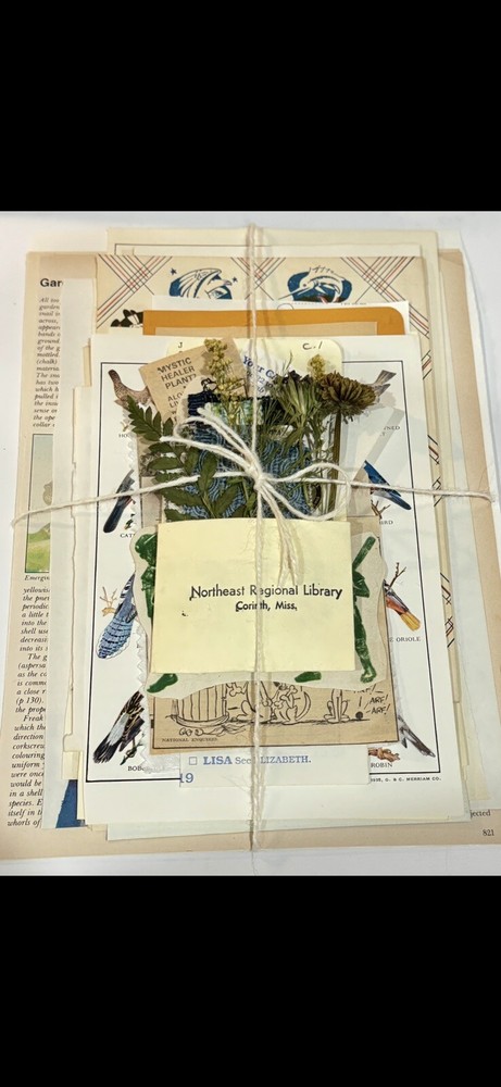 50+ Vintage Ephemera&Book Pages Junk Journal Art Crafts Scrap Fabrics Mystery