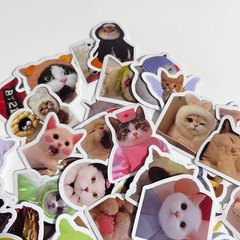 Cute Cat Sticker For packaging Random 2pc NEW from Japan 2枚セット　ステッカー　シール　かわいい