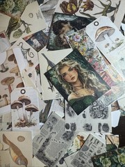 200+ cottage core mystical forest kit Lot Junk Journal Ephemera