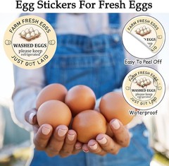 Farm Fresh Egg Stickers – 2 inch Egg Carton Sticker 500pcs, Fresh Eggs Sticke…