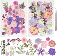 50pcs Dried Pressed Flowers Kit Real Natural Flowers for Resin Jewelry DIY Craft