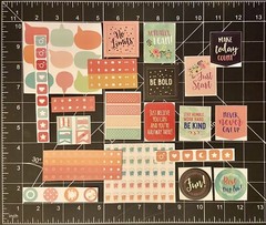 Selection (LOT) of 175 “Essentials Planner Stickers” (PETER PAUPER PRESS)