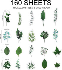 160Pcs Flower Plant Stickers,20 Patterns PET Transparent Decorative Stickers, Fl