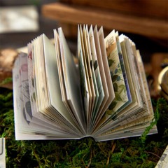80Pcs Vintage Plants Butterfly Material Paper not Self-adhesive Sticker Journals