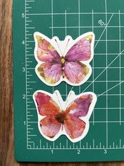 Pink Pretty Cute 🦋 Butterfly of Butterflies Stickers – Free Shipping – Tulip