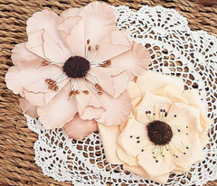 NIKITA WV – 2 Flower Pk APRICOT & DESERT SAND Colours 80-100mm Manor House ConA