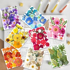 269PCS Dried Pressed Flowers for Resin Craft – YouthBro Real Nature Flowers S…
