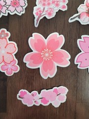 STICKERS x 10 Flowers Pink Cherry Blossom Orchid Tree Sticker CHE5