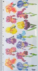 Violette Stickers Colorful Spring Iris Flowers Crafts Planner Supply Scrapbook