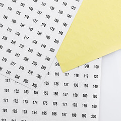 Number Sticker 1 to 300 Ruiwaer 10 Sheets Digital Sticker 1 to 300 Circular Digi