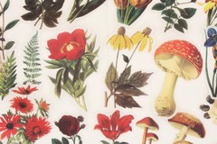 60pc botanical and mushroom Washi stickers | flower die-cut Stickers M02 TZB-L2