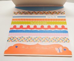 Borders Corners Frames Cardstock Sticker Set Pad Sheets 3 Birds Design
