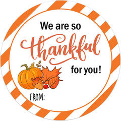 360 PCS round Thanksgiving Turkey Stickers for Kids Gift Bag Seals