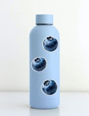 Big Blueberry Die Cut Vinyl Stickers Set Scrapbooking Laptop Water Bottle