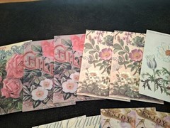 100 Pc Scrapbooking Supplies JJ Craft Kit Florabunda Theme Ephemera New Product