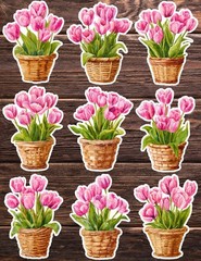 Basket of Tulips Die Cut Vinyl Stickers Set Notebook Laptop WaterBottle