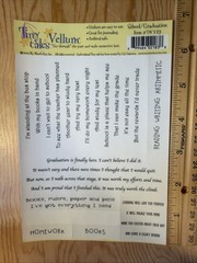 partial School Words & Phrases Vellum Sticker Sheet Scrapbook Craft Stickers
