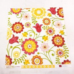 Echo Park Scrapbook Paper Lot 12×12 Summer By Lori Whitlock 5 Sheets