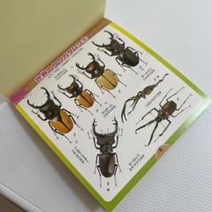 Beetle and Stag Beetle Japanese Stickers book 275 Stickers Shogakkan Neo JP