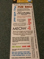 AMERICAN TRADITIONAL DESIGNS LIL’ MESSAGES ‘MEOW MESSAGES’ 20PCS