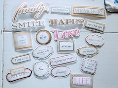 Lot 115+ Anna Griffin Scrapbooking Paper Embellishments Floral Die Cut Paper