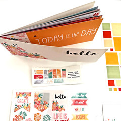 PLANNER KIT LOT Happy Summer Brights STICKERS PEN POUCH DIVIDERS STICKy NOTES