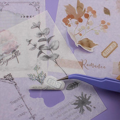40 Sheets Sticker for Adults Journaling, Washi and PET Materials, Ephemera Aest