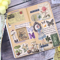 16 Sheets Quote Stickers for Scrapbooking Supplies, 812Pcs Phrases Words Sticker