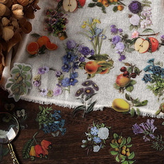 240PCS Waterproof Flowers Leaves Animals Plants Nature Stickers for Art Journali
