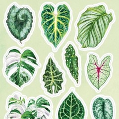 Stickii – Monstera Leaf Stickers – Plant Leaves Sticker Sheet – Crafts Planners