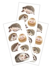 Hedgehog Woodland Animal Decorative Stickers Party Planner Supply Crafts