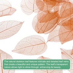 100-Pack Skeleton Leaves, Natural Rubber Tree Leaves Vein[7-9cm, Nude]