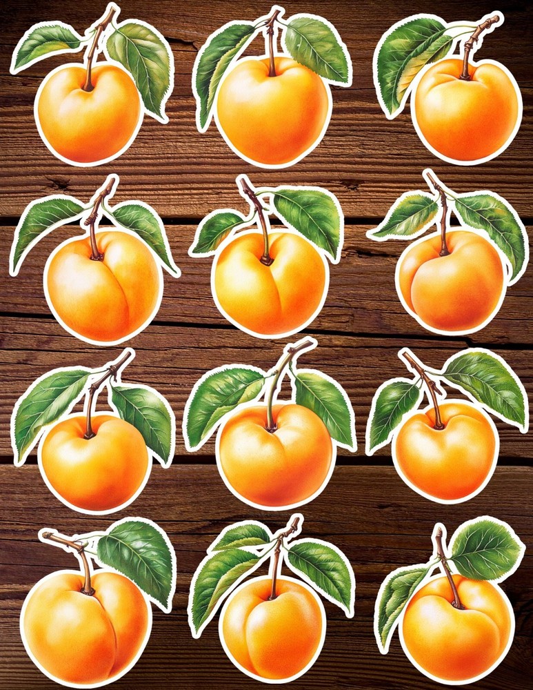 Apricot Die Cut Vinyl Stickers Set Scrapbooking Laptop Waterbottle