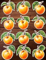 Apricot Die Cut Vinyl Stickers Set Scrapbooking Laptop Waterbottle