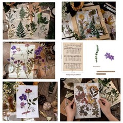 80PCS Large Dried Flower Stickers – Waterproof Transparent Floral Decals for Scr