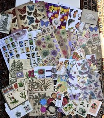 Flower and Butterfly Ephemera Collage Art Junk Journal Scrapbooking Paper Lot