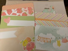 Set Of 281 Scrapbook Journaling Cards Project Life/Becky Higgins/Dear Lizzy